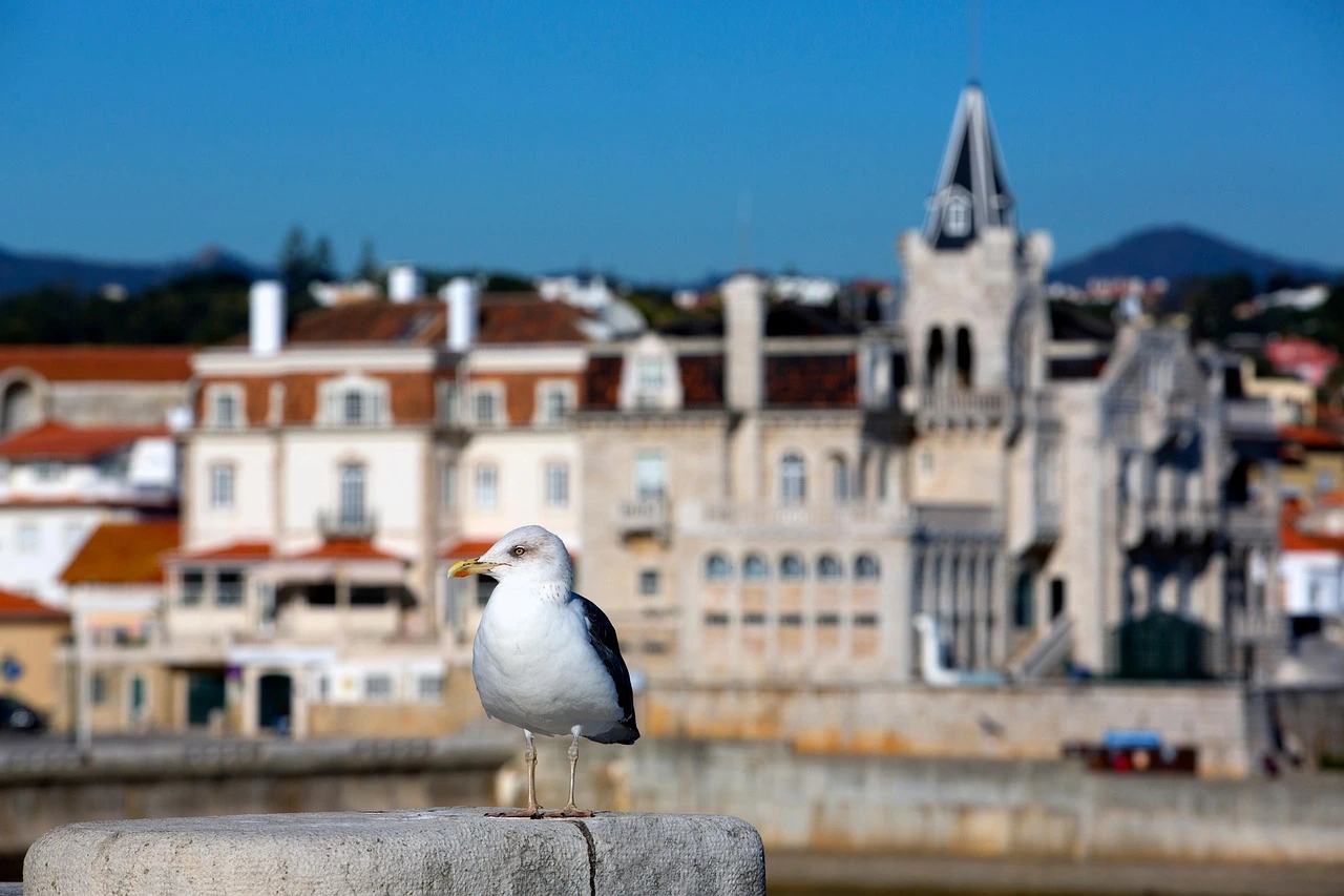 12 villes à visiter à moins d’1h de Porto : escapades magique autour de la capitale du Nord